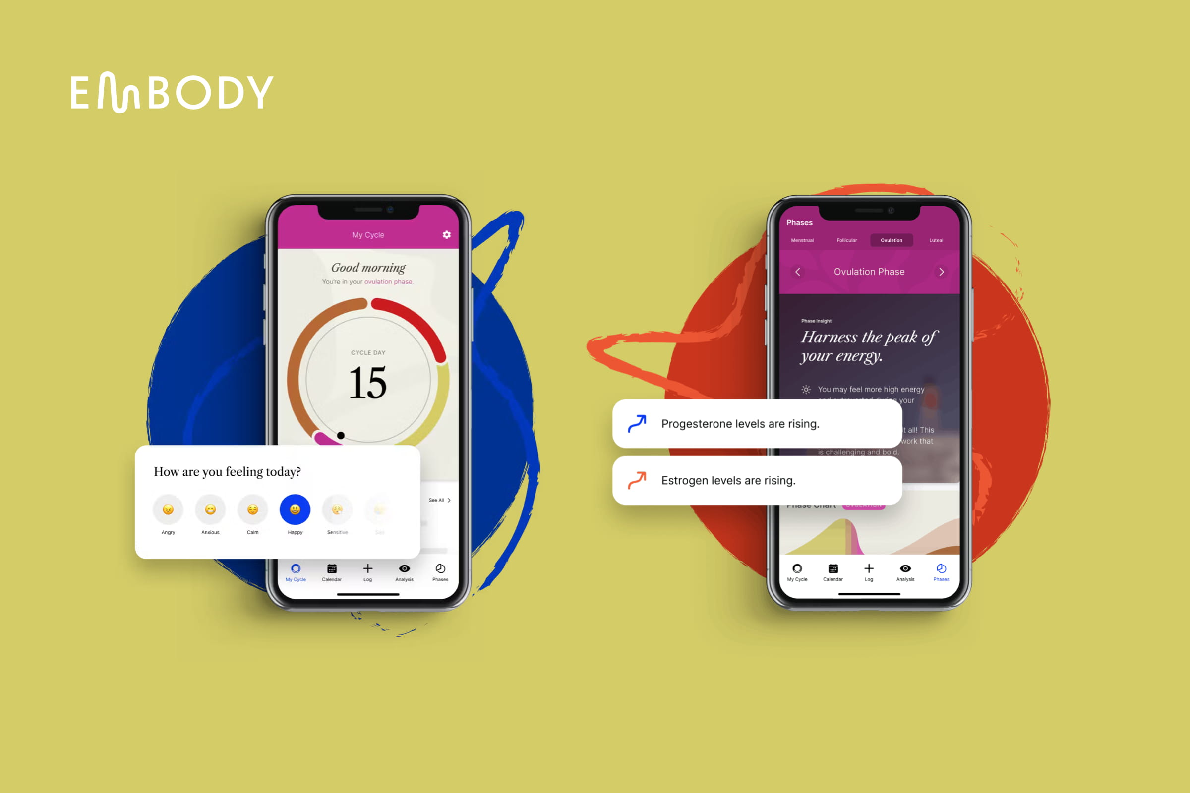 Screenshot of Embody app
